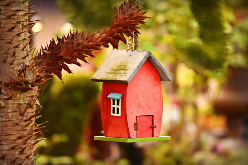 Nesting chez Arboga pour isoler votre maison écologique sur Bordeaux en Gironde